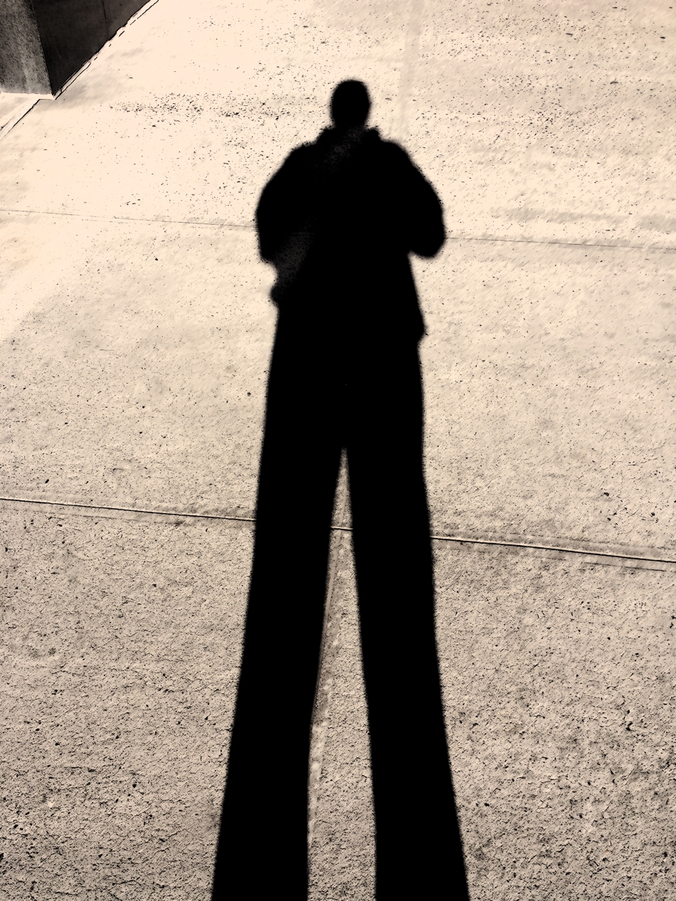 shadow self